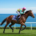 Max Verst Triomphe à Marseille-Borély : Quinté+ 2025