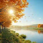 Prévisions Météo Semaine : Soleil Et Douceur Automnale