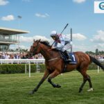 Quinté Beaumont-de-Lomagne : Abrivard Vise la Victoire