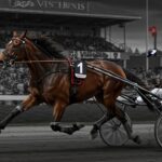 Quinté Vincennes : Furioso Fligny Brille à 10 Ans