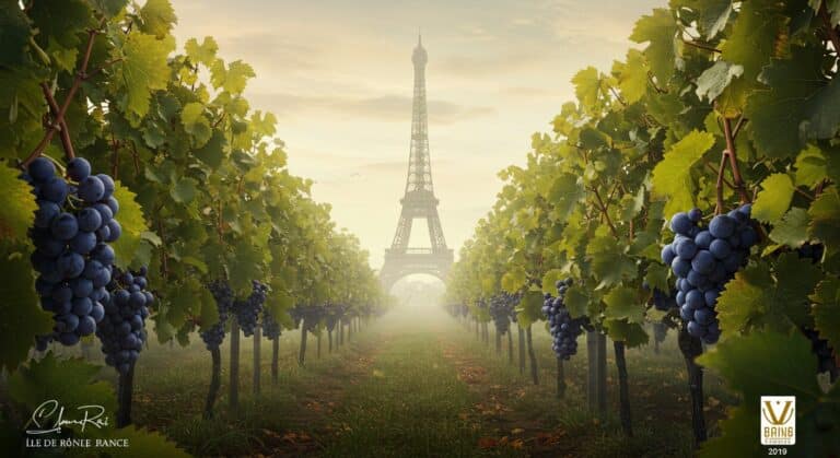Vins Île-de-France : IGP et Qualité en Essor