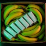 500 kg de Cocaïne Cachés dans des Bananes en Allemagne