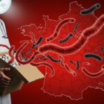 Antibiotiques en France : Consommation en Hausse en 2024