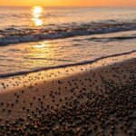 Billes Plastique Noires : Menace sur les Plages Françaises