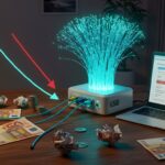 Box Fibre : Payez-Vous le Juste Prix Internet ?