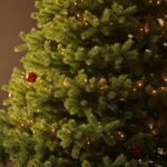 Choisir et Entretenir son Sapin de Noël : Astuces de Pros