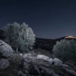 Cisjordanie : Nouveaux Affrontements Violents près de Bethléem