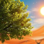 Météo Dou Douceur Automne : Menace pour Faune Flore