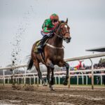 Quinté Saint-Cloud : Lord of War Triomphe en Terrain Pénible