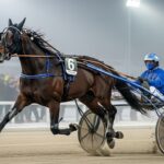 Quinté Vincennes : Himberland Triomphe Dans un Final Haletant