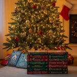 10 Romans Incontournables pour Noël 2025