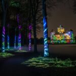 Arbora Lumina Harcourt : Le Spectacle Nocturne Qui Enchante l’Eure