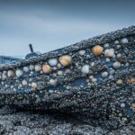 Bateau à Rames Retrouvé Près d&rsquo;Oléron Après 3 Ans