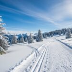 Biathlon Grand-Bornand : Jacquelin Vice-Champion, Perrot 4e