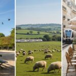 Budget 2026, Ukraine et Grève Louvre : L’Actu du 8 Décembre