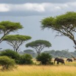 CAN 2025 : Pluie Force Sénégal à Balade en Hôtel Avant RDC