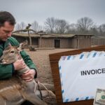 Centre Faune Sauvage Oise : Va-t-il Taxer les Villes ?