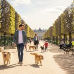 Chiens à Paris : Plus d’Espaces Verts Bientôt Accessibles