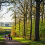 Découvrez la Nouvelle Forêt de Maubuisson à Vélo ou à Pied