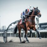 Eros Zola Impressionne à Vincennes dans le Prix Jules Lemonnier
