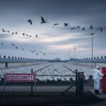 Grippe Aviaire dans les Landes : Premier Foyer et Abattage Massif