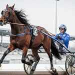 Inmarosa Triomphe au Prix du Bourbonnais 2025 à Vincennes