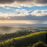 Météo Semaine Décembre 2025 : Douceur et Intempéries