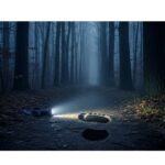 Meurtre du Joggeur à Bièvres : Trois Mois Sans Réponse