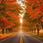 Pamela Anderson et Liam Neeson : Leur Brève Romance Révélée