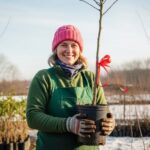 Parrainer un Arbre pour Noël : Cadeau Écolo en Essonne