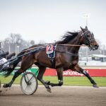 Quinté 24 Décembre Vincennes : Paul Ploquin et Daniel Redén Unis