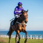 Quinté Cagnes-sur-Mer : Bastien Marchand Brille en Obstacle