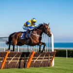 Quinté Cagnes-sur-Mer : Style d’Emirs Remporte le Dernier Événement