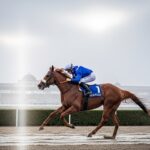 Quinté Deauville 2 Décembre : Celestial Peut-Il Faire La Passe De Trois ?