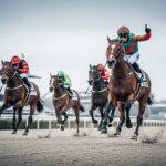 Quinté Deauville 22 Décembre : Windflower Triomphe