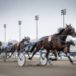 Quinté Vincennes 10 Décembre : Laluna des Forges Gagne en Force