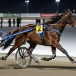 Quinté Vincennes 12 Décembre : Divine Idylle Express Triomphe