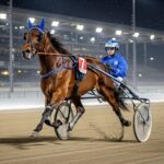 Quinté Vincennes 12 Décembre : Intrépide des Bois Prêt à Briller ?
