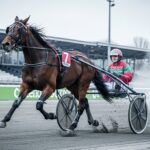 Quinté Vincennes 13 Décembre : Dolce Viky Triomphe