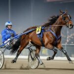 Quinté Vincennes 13 Décembre : Habit de Soirée Imbattable ?