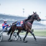 Quinté Vincennes 14 Décembre : Les Raffin Avec Freedom