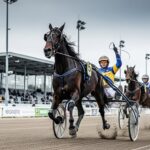 Quinté Vincennes 17 Décembre : Histoire Phils Surprise à 115/1