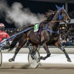 Quinté Vincennes 1er Janvier : Kika Josselyn en Vue