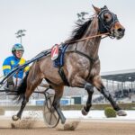 Quinté Vincennes 20 Décembre : Headscott Favori d&rsquo;Anthony Barrier