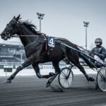 Quinté Vincennes 24 Décembre : Chitchat Triomphe