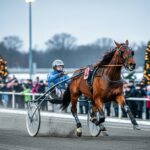 Quinté Vincennes 25 Décembre : Koufra Iris&rsquo;Eyes Triomphe