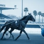 Quinté Vincennes 25 Décembre : Vercruysse Vers Cagnes-sur-Mer