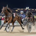 Quinté Vincennes 26 Décembre : Keller de l&rsquo;Iton Triomphe