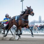 Quinté Vincennes 27 Décembre : Ialto d’Hertals Triomphe