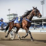 Quinté Vincennes 28 Décembre : Hokkaido Jiel Vers l&rsquo;Amérique